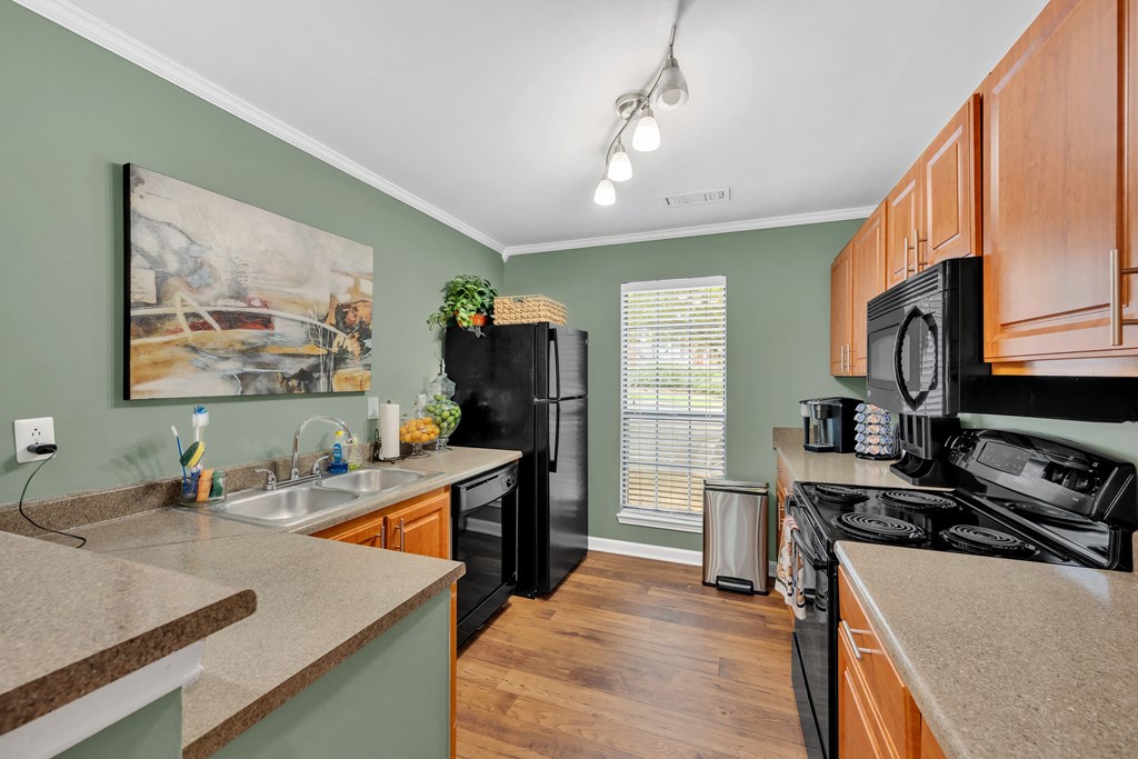 a kitchen with a black refrigerator and a sink